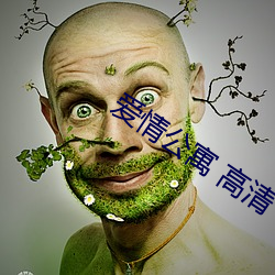 愛情公寓 高清