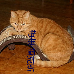梅根福克斯