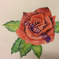 小宝贝污播
