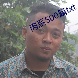 肉系500篇txt