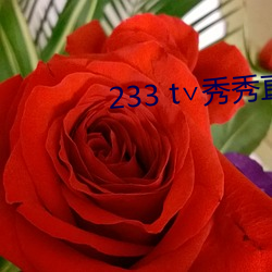 233 t∨秀秀直播