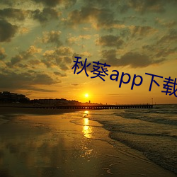 秋葵app下载大全小蝌蚪免费 （拔萃出群）