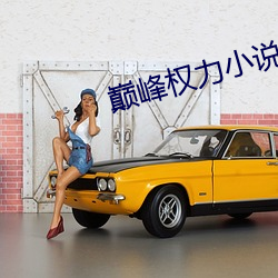 巅峰权力小说