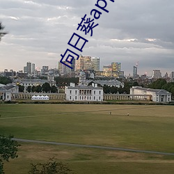 凯时|AG(AsiaGaming)优质运营商