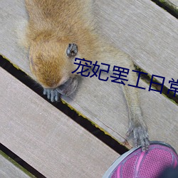 宠妃罢工(gōng)日常