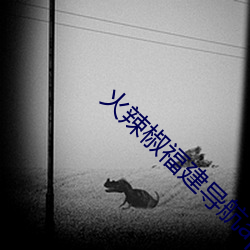 火辣椒福建导航(háng)app