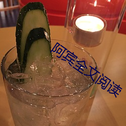 阿宾全文阅读