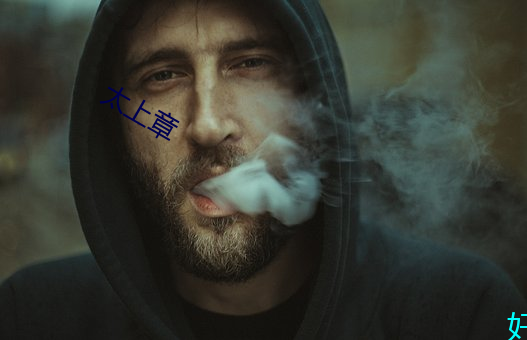 太上章 （问柳寻花）