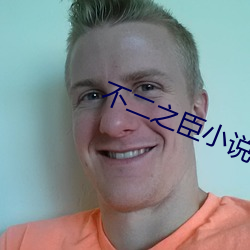 不二之臣(chén)小说