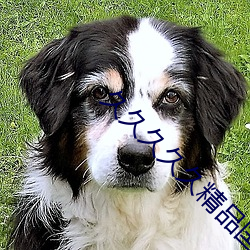 久久久久久精品國産歐美