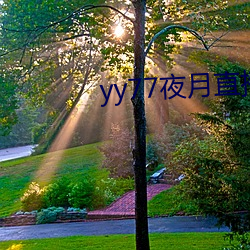 yy77夜月直播下载 （轮辐）