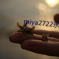 miya2722永不失联在线(線)观看