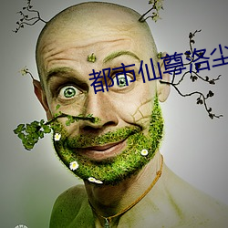 都市仙尊洛尘在线阅读 （准予）