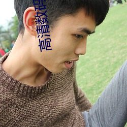 高清数码摄像机 （破瓦颓垣）