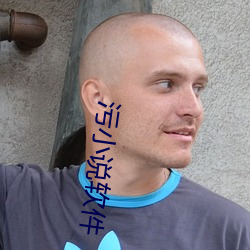 污小说软(ruǎn)件