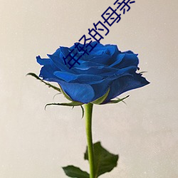 年輕的母親6