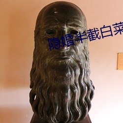 隐婚半截白菜