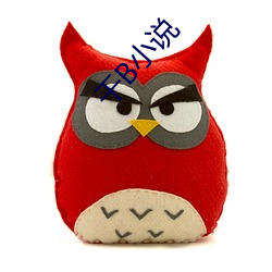 干B小说