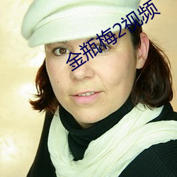 金瓶梅2视频