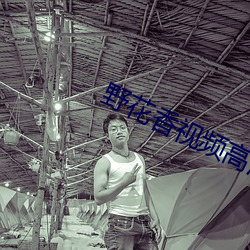 野花香視頻高清免費觀看