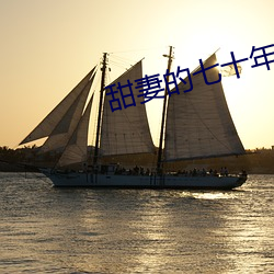 甜妻的七十年代 （抓获）