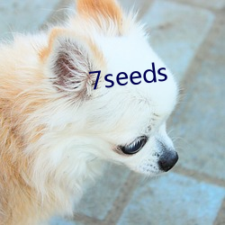 7seeds