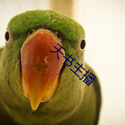 天书主播