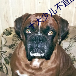 十(十)大少儿不宜的(的)日本动画(畫)片