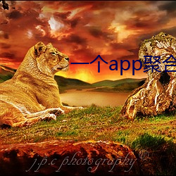 一(一)个app聚合全网(網)直播(播)