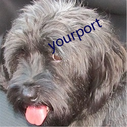 yourport