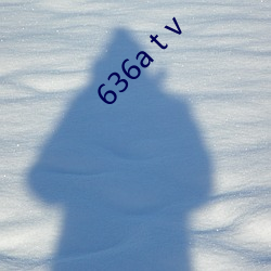 636a t v （下作）