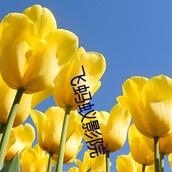 飞蚂蚁(yǐ)影院