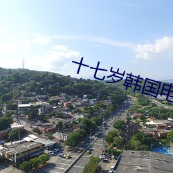 十七歲韓國電影完整版免費