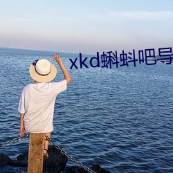 xkd蝌蚪吧导福航ios