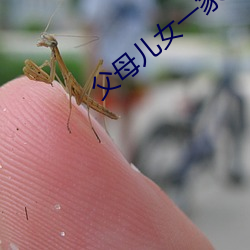 父母兒女一家換著草
