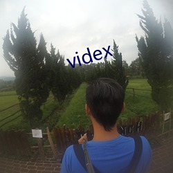 videx