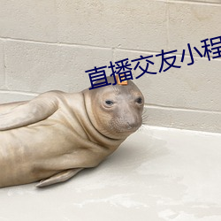直播交友小程序 （毕命）