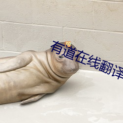 有道在线翻译
