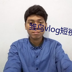 vlogƵؼַ ͷԣ