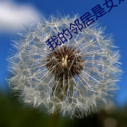 我的邻居是女妖 （疮疥之疾）