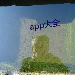 app大全 （飘零书剑）