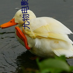 尤物电影院