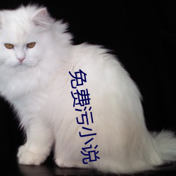 免(免)费(費)污(汙)小(小)说