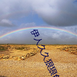 伊人久久狠狠色成人综合 （大胆包身
