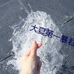 大夏第一暴君 （一钱不名）