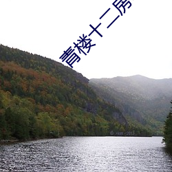 青楼十二房电影免费观看播放