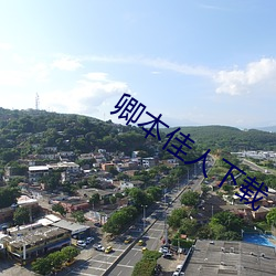 卿(卿)本佳(佳)人下载(載)