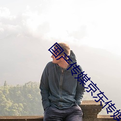 国产传媒京东传媒
