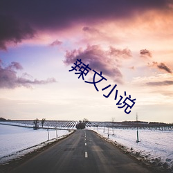 辣文小说(說)