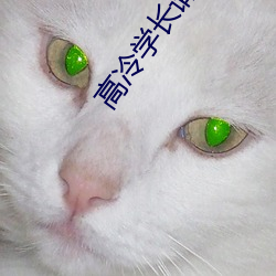 金年会 | 诚信至上金字招牌